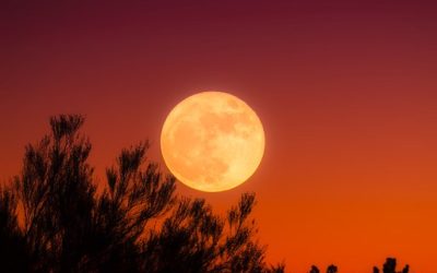 Tiempo de Resurrección